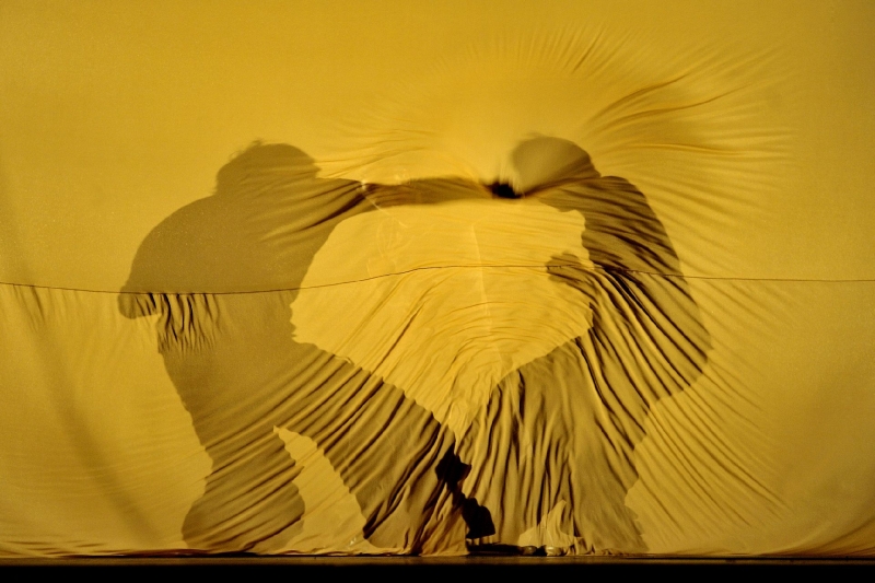 Dunas_Sidi_Larbi_Charkaoui_deSingel1